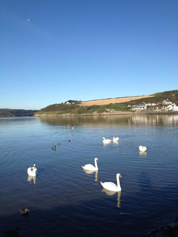 Marsh Mere Lodge Arthurstown Екстериор снимка